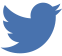 Twitter Icon