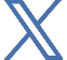 X Icon